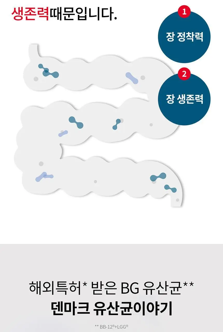 [포켓몬 에디션] 덴마크 유산균이야기 30캡슐 1+1기획 (+꼬부기 러기지택 증정) (60일분) 상세페이지 10